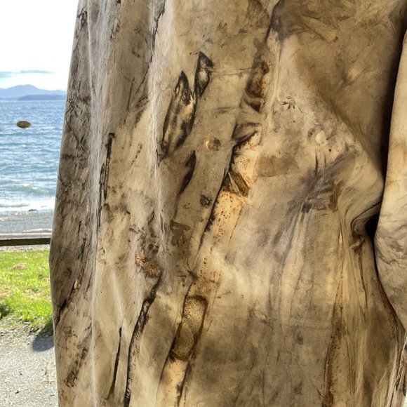 Upcycled shirt- ecodyed and rusted - Picture 2 of 5